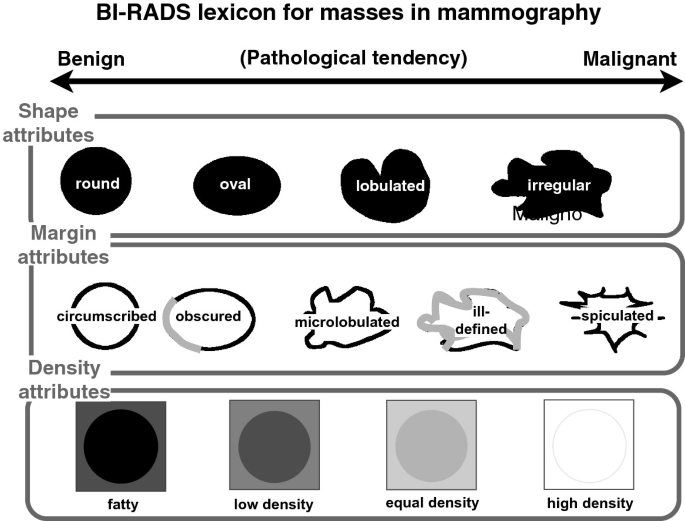 A Classifier Ensemble Method for Breast Tumor Classification Based on the  BI-RADS Lexicon for Masses in Mammography | SpringerLink