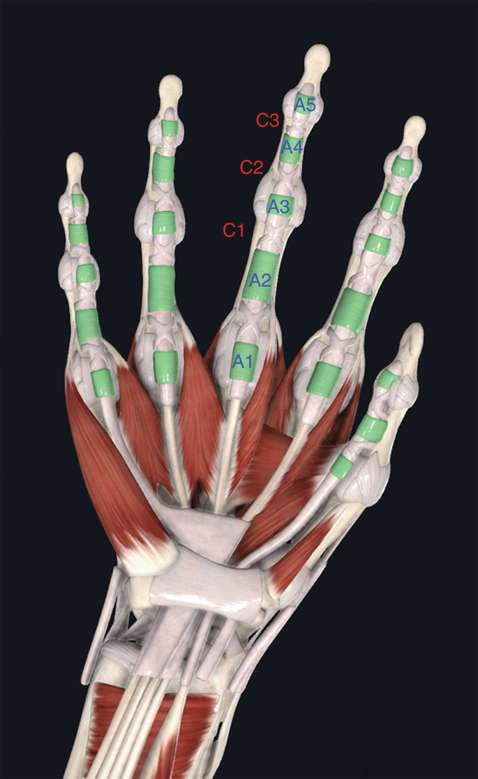 figure 16