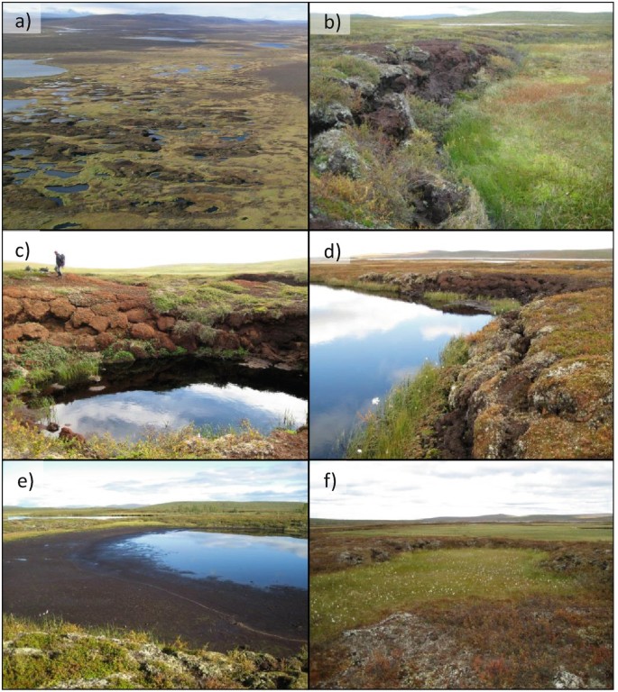 Drying of tundra landscapes will limit subsidence-induced acceleration of  permafrost thaw