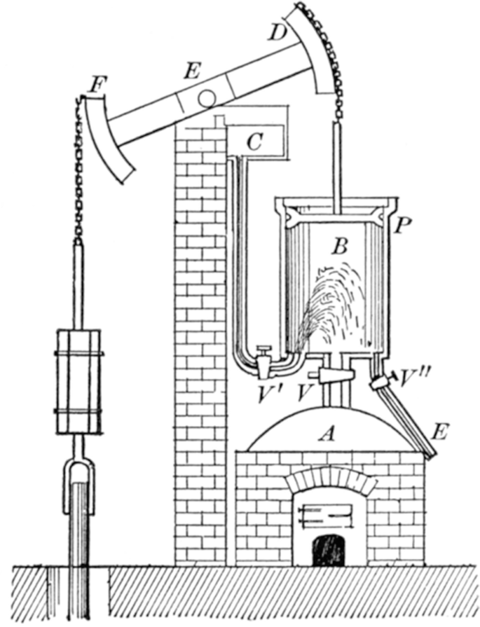 House sparrow - Wikiwand