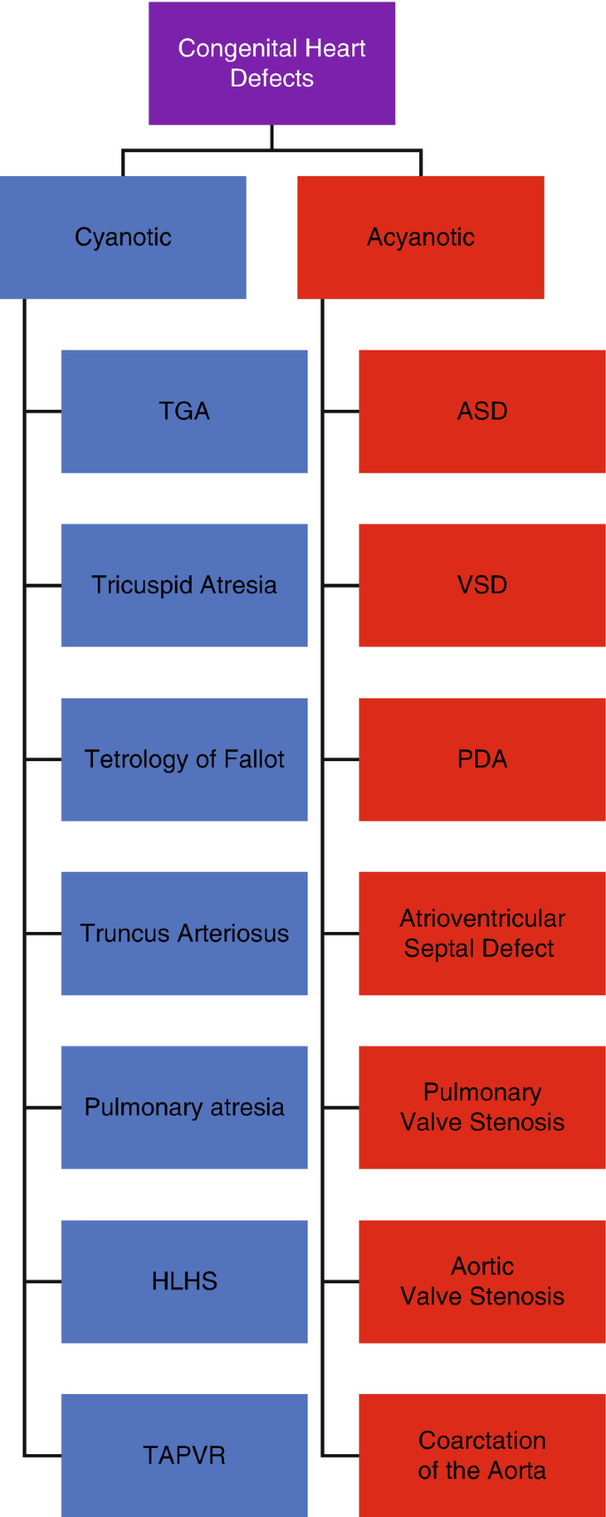 CHD Patients for Non-cardiac Surgery | Springer Nature Link (formerly  SpringerLink), image size:685x1714