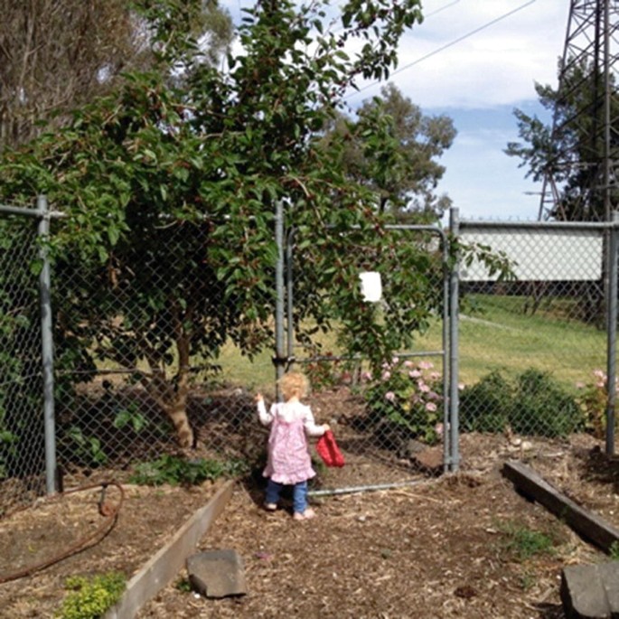A photograph of a kid in the community garden.