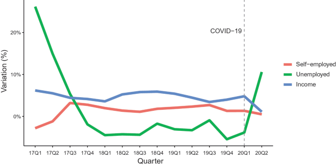 Understanding COVID-19 in Brazil: Socioeconomic Impacts, Statistical  Analysis and Future Challenges