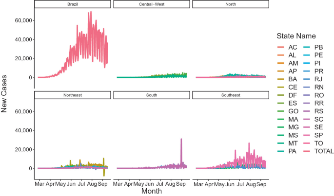 Understanding COVID-19 in Brazil: Socioeconomic Impacts, Statistical  Analysis and Future Challenges