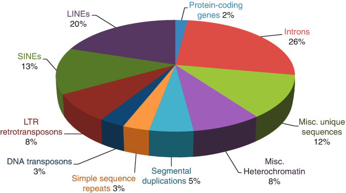 Human genome - Wikipedia