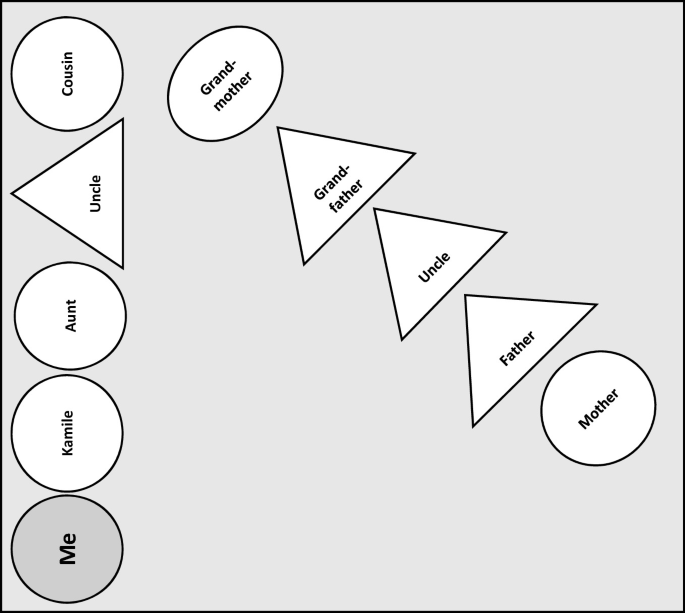 PDF) Having two mothers: the triangulation dynamics of children in lesbian  led families