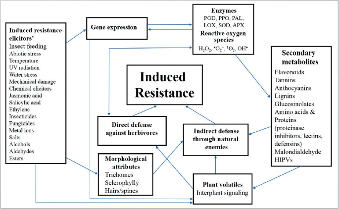 PDF) A genomic amplification affecting a carboxylesterase gene cluster  confers organophosphate resistance in the mosquito Aedes aegypti : From  genomic characterization to high‐throughput field detection