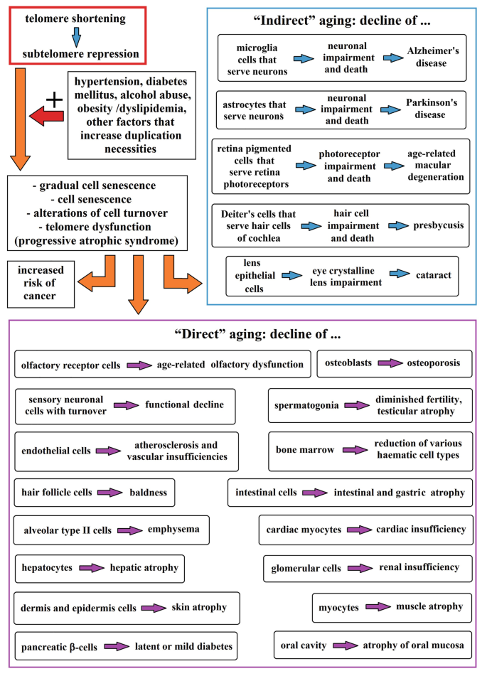 The Elderly Subjects And Their Troubles Springerlink