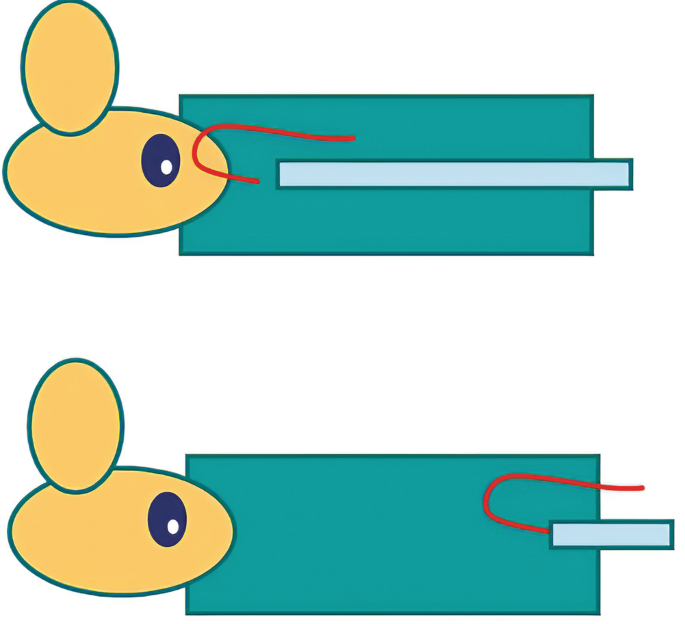 High Sensitivity Aggressive Bites Mouse Clip Mouse Trap Boxed