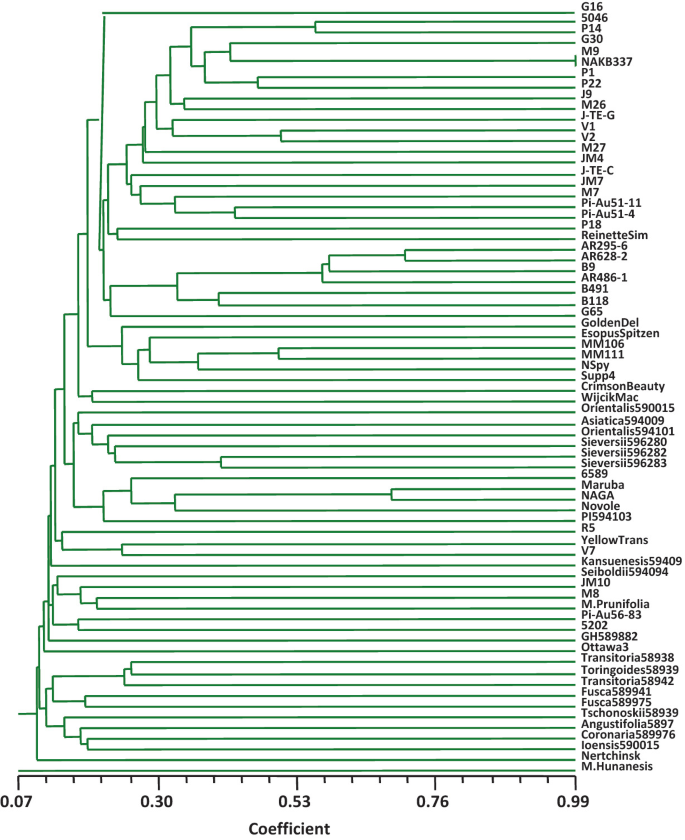 https://media.springernature.com/lw685/springer-static/image/chp%3A10.1007%2F978-3-030-74682-7_6/MediaObjects/492258_1_En_6_Fig1_HTML.png