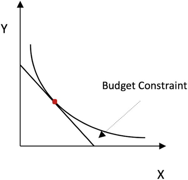 A graph of Y versus X with indifference curve and budget constraint. The curve represents the concave up decreasing curve, and the line represents a budget constraint with dot marks at the joining point.