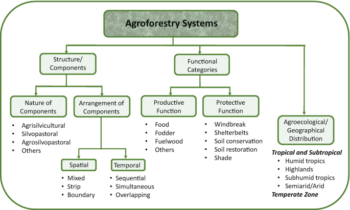 Classification of Agroforestry Systems | SpringerLink