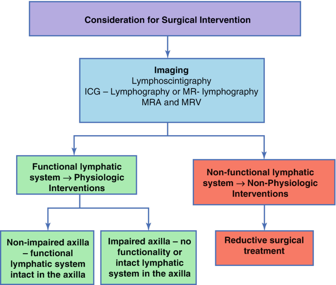 Breast Cancer-Related Lymphedema and Shoulder Impairments: Physical Therapy  and Plastic Surgery