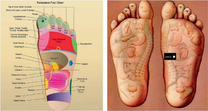Device to Detect Acupuncture Points in the Feet Soles for Massage Treatment  | SpringerLink