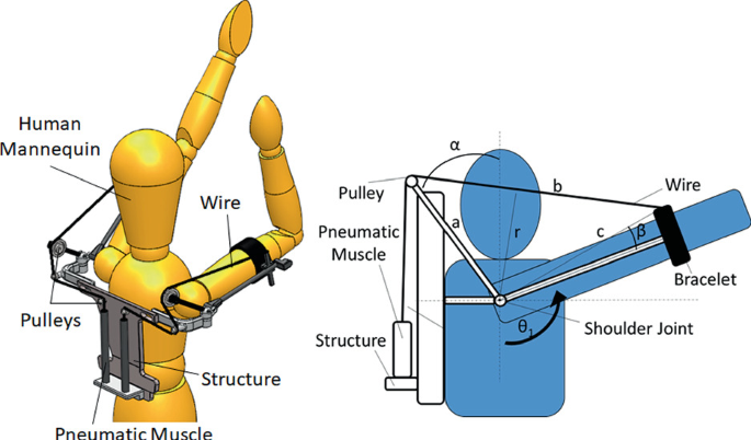 Use of Pneumatic Artificial Muscles in a Passive Upper Body Exoskeleton |  SpringerLink