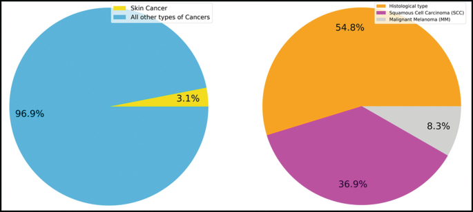 skin cancer pie chart