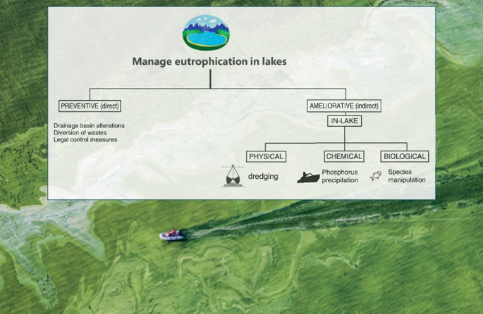 Management Strategies for Lake Restoration | SpringerLink
