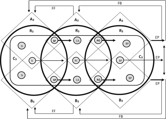 A diagram depicts 3 circles that overlap with each other. The components of low agentic ambimodality and their connections are explained.