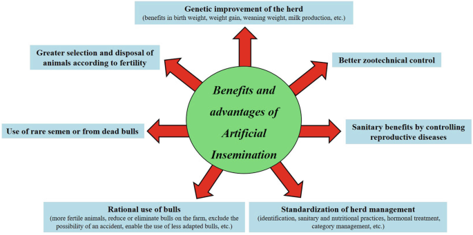 Artificial Insemination Program in Cattle | SpringerLink Artificial Insemination Program in Cattle | SpringerLink