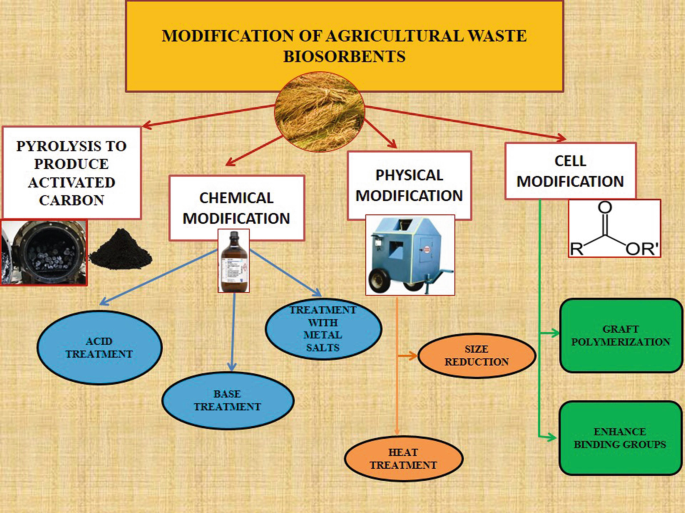 Agricultural Waste: A Potential Solution to Combat Heavy Metal 