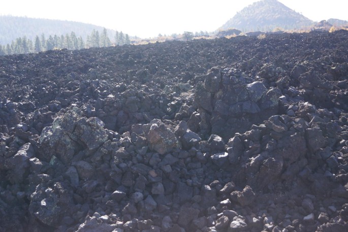 A ground filled with pieces of rock. There are trees and hills at a distance.