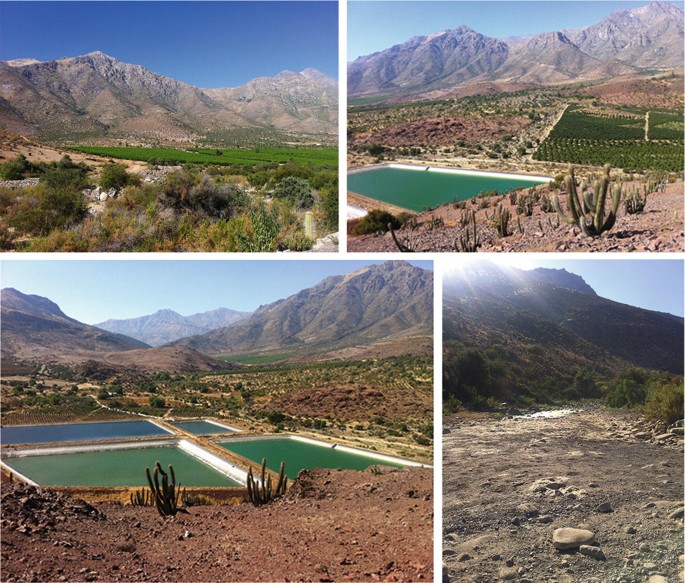Four photographs depict the avocado plantations, rectangular water accumulators and dried up stream near the water accumulators below the foothills of a mountain range.