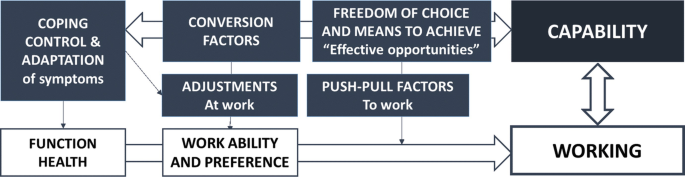 A model of working capability depicts function health, work ability and preference, conversion factors, and working among others.