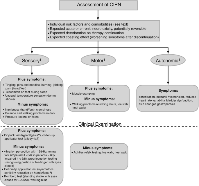 https://media.springernature.com/lw685/springer-static/image/chp%3A10.1007%2F978-3-030-78648-9_10/MediaObjects/487909_1_En_10_Fig1_HTML.png