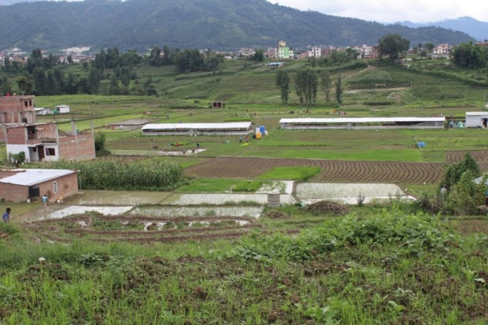 A landscape view of a peri-urban area. The piece of land is plain and has agricultural sections. The left side has some houses. The front has two shades. A hilly region in the background is framed by multi-story buildings.