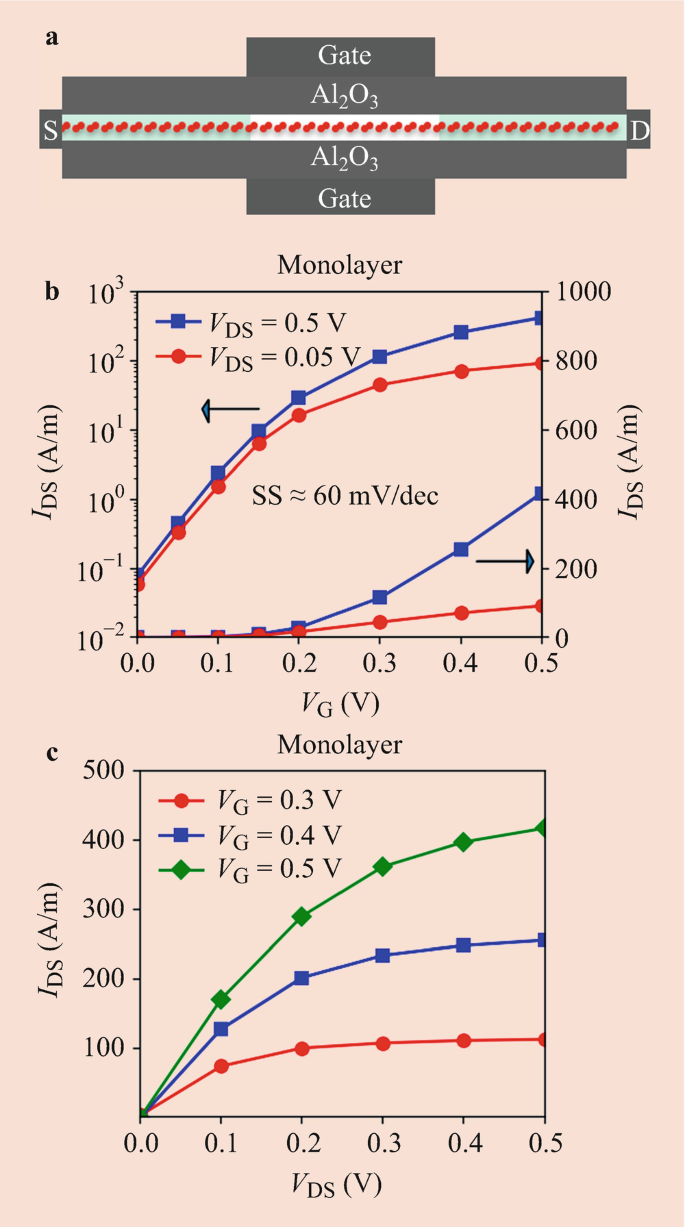 figure 20