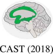 An illustration of a brain with the boundary of the central region highlighted, has the text cast, 2018 below it.