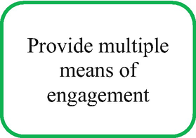 A text in a round-cornered box reads, provide multiple means of engagement.