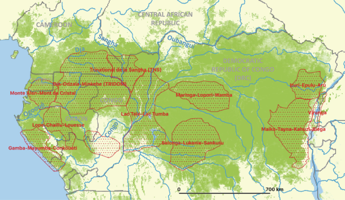 Mokele-mbembe is usually sighted in Africa countries: the Congo Republic,  Cameroon, and Gabon. Mokele-mbembe…