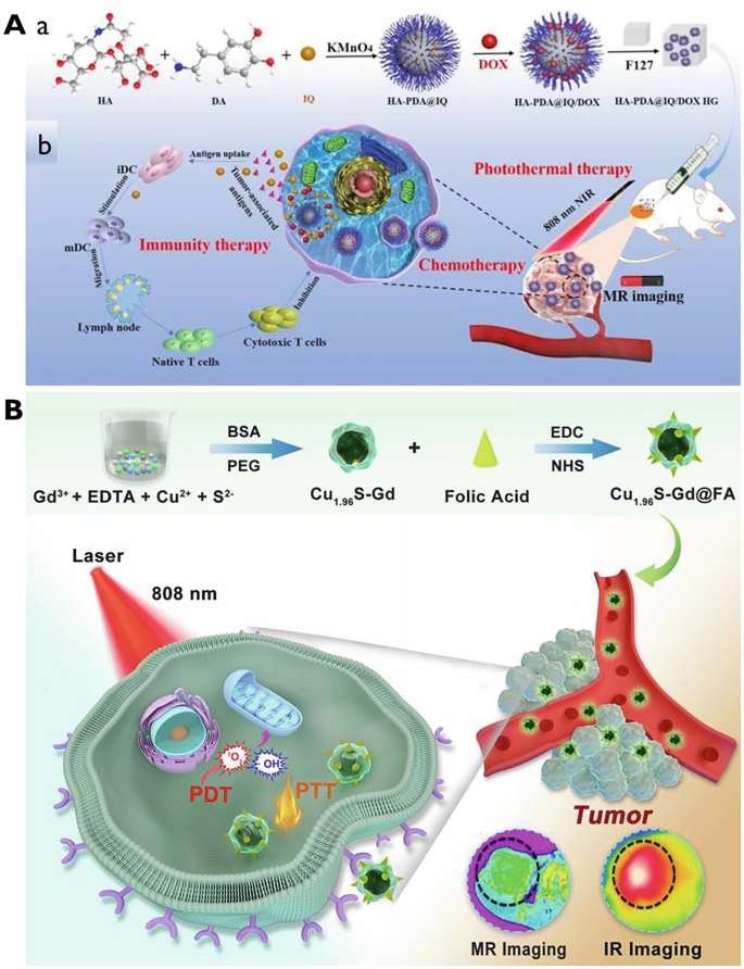 Where Is Nano Today and Where Is It Headed? A Review of Nanomedicine and  the Dilemma of Nanotoxicology