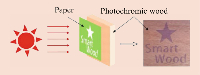 figure 28