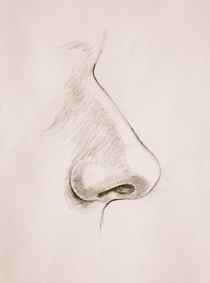 How to Draw a Nose from the Side - JeyRam Drawing Tutorials