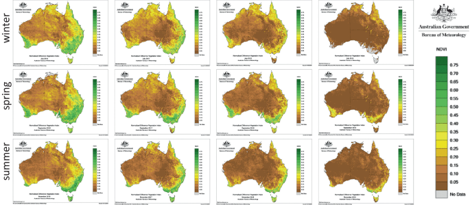 Spectral Domain Image Transforms Springerlink