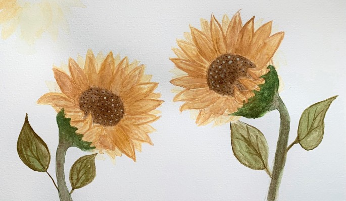 A drawing of two sunflowers. The sunflowers face toward each other.