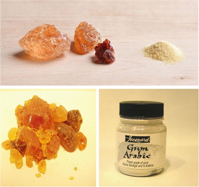 Gum Arabic: growing demand means new opportunities for African producers