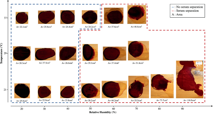 The Effect of Humidity on Blood Serum Pattern Formation and Blood Transfer