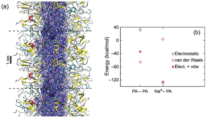 figure 20