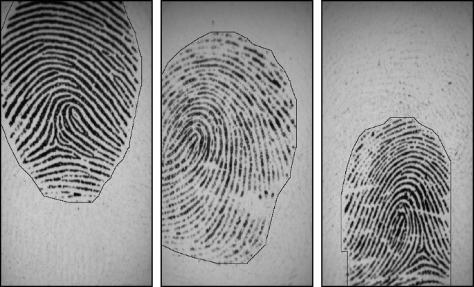 Fingerprint Analysis and Representation | SpringerLink