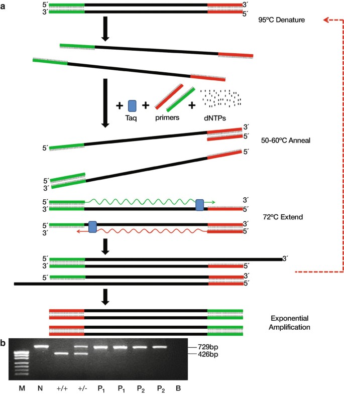 figure 15