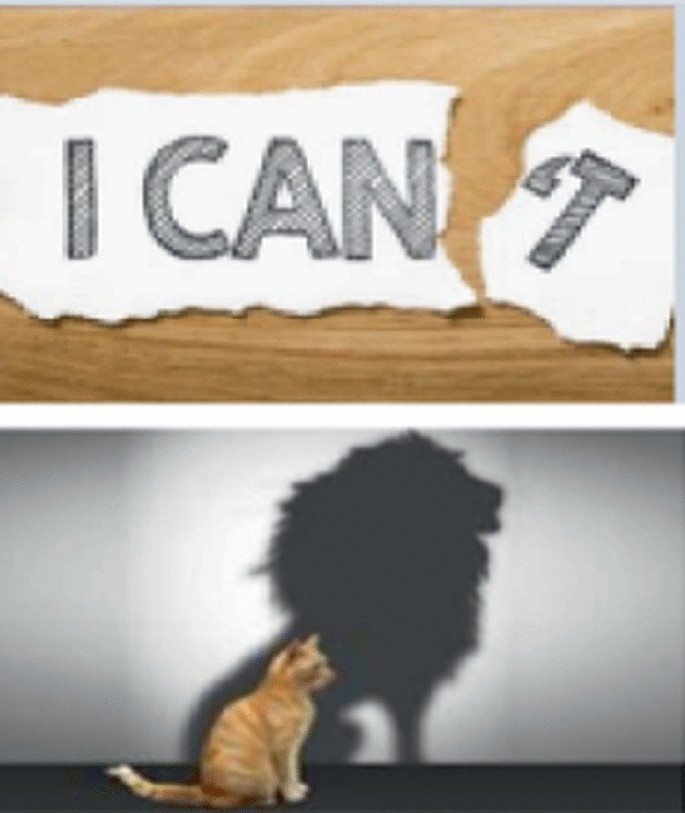 The top image indicates a piece of paper with the word I can't tear out, implying that I can. The bottom image represents a cat with a lion's shadow.