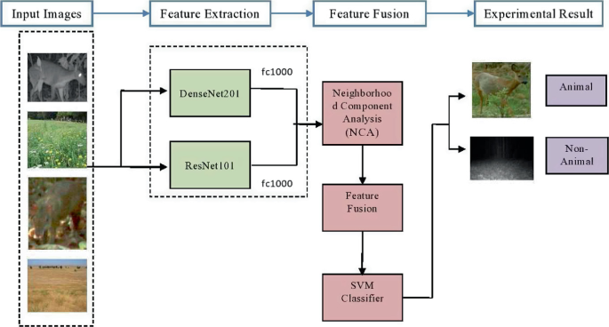 Fusion of Deep Learning Features for Wild Animal Detection | SpringerLink Fusion of Deep Learning Features for Wild Animal Detection | SpringerLink