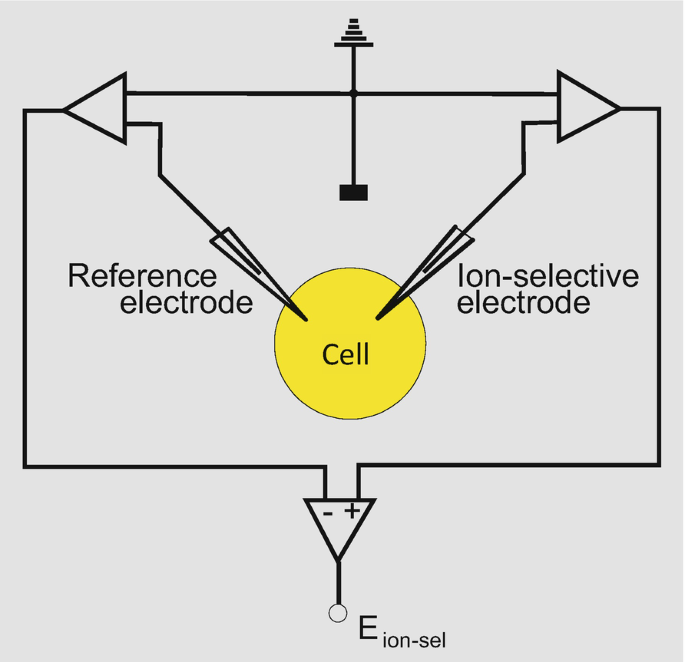 Voltorb / Electrode / Lodrain Voltorb / Lodrain Electrode Species in Other  Realms