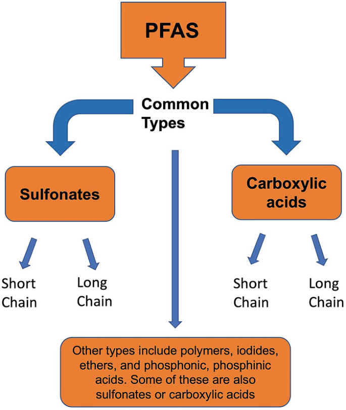 Per- and Polyfluoroalkylsubstances (PFAS) and Their Toxicology as Evidenced  Through Disease and Biomarkers | SpringerLink