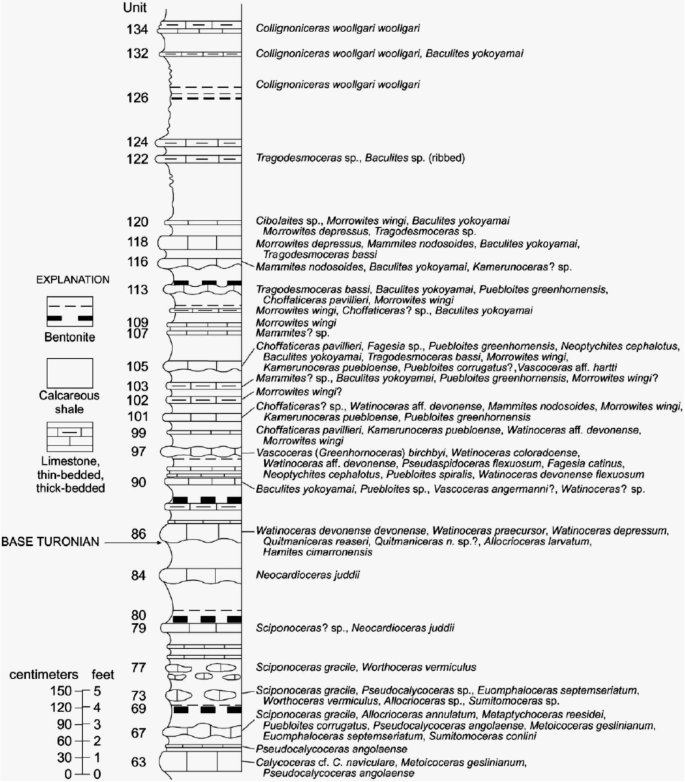 figure 43