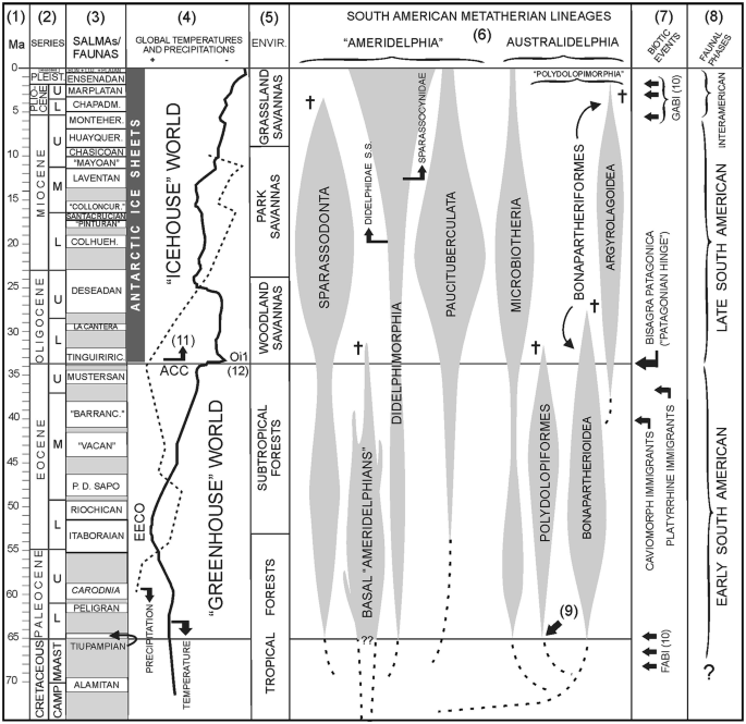 The origin and early evolution of metatherian mammals: the Cretaceous record