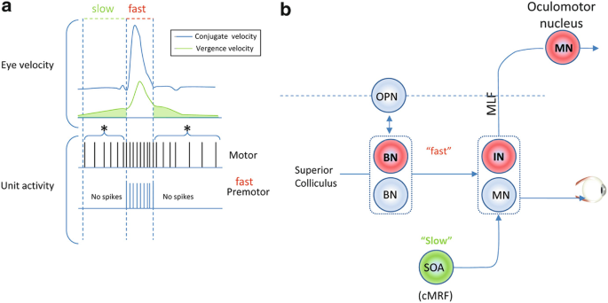 figure 25